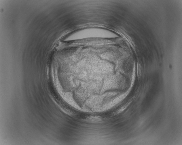 X0000079330157200612151851