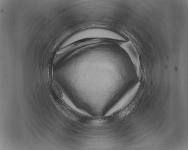 X0000079330158200612151851