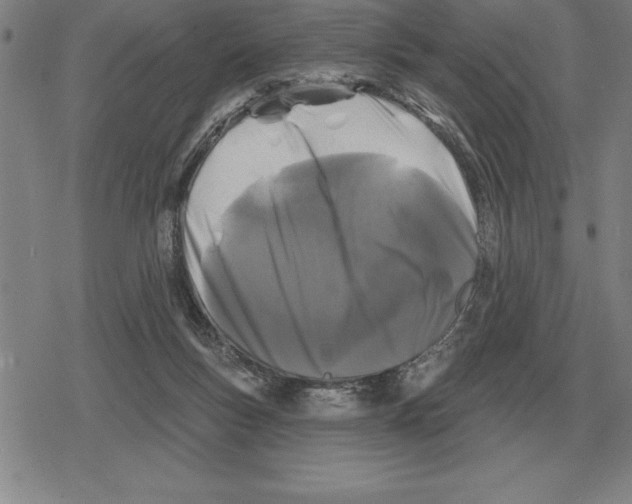 X0000079330167200612151851