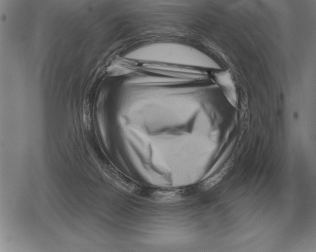 X0000079330170200612151851