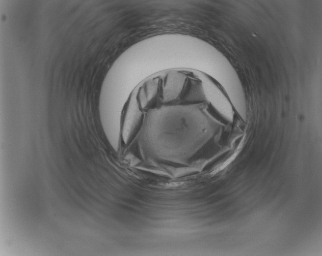 X0000079330186200612151851