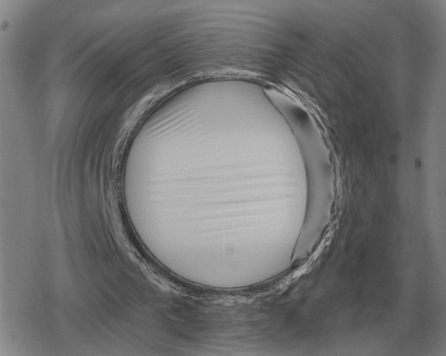 X0000079330193200612151851