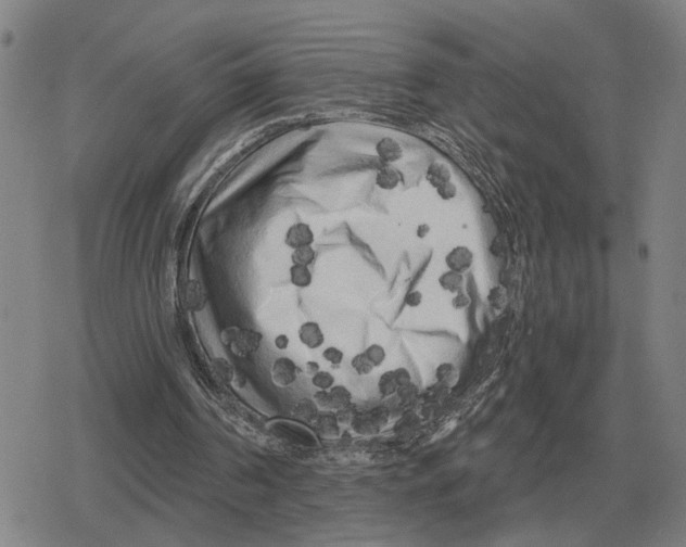 X0000079330194200612151851