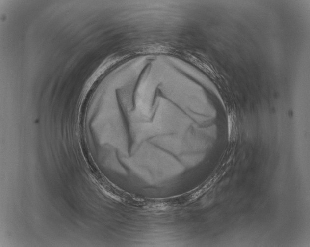 X0000079330195200612151851