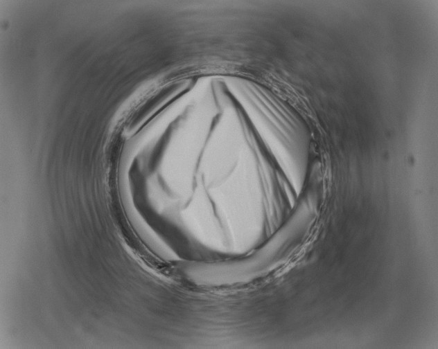 X0000079330197200612151851