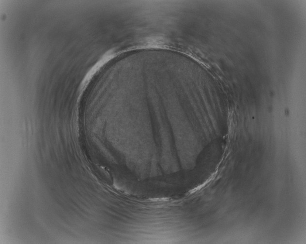 X0000079330200200612151851