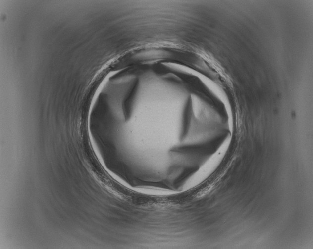 X0000079330201200612151850