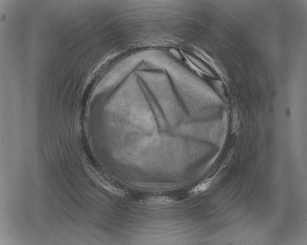 X0000079330203200612151850