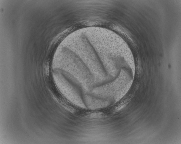 X0000079330210200612151850