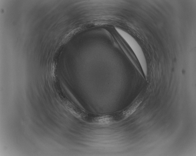 X0000079330219200612151850