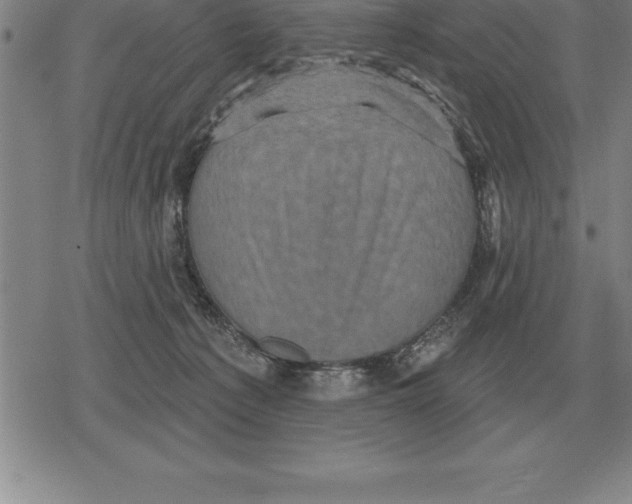 X0000079330225200612151850