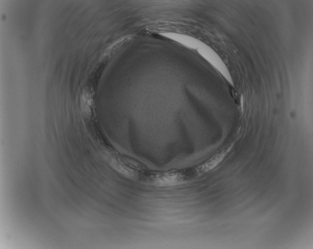 X0000079330235200612151850