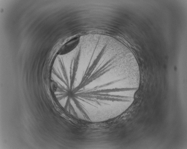 X0000079330241200612151849