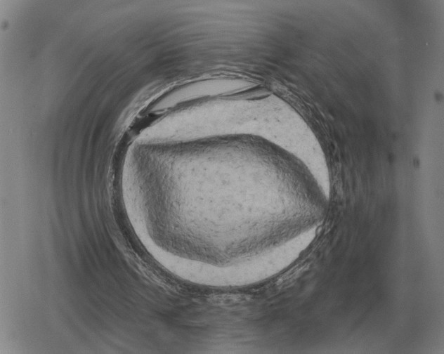 X0000079330242200612151849