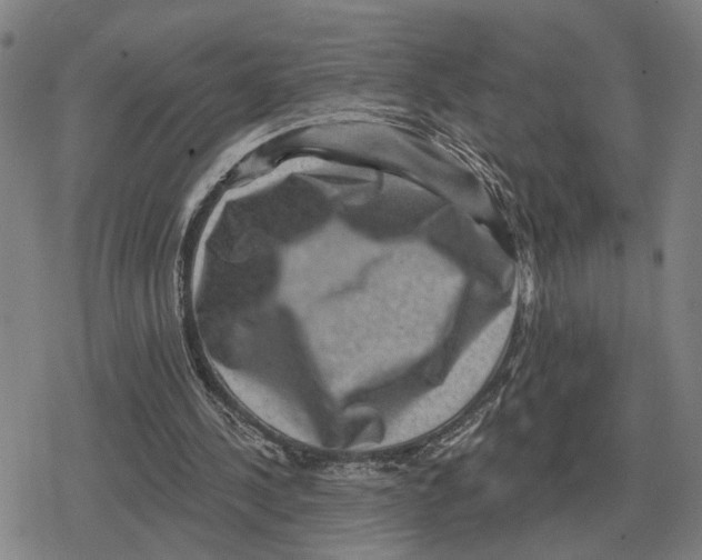 X0000079330244200612151849