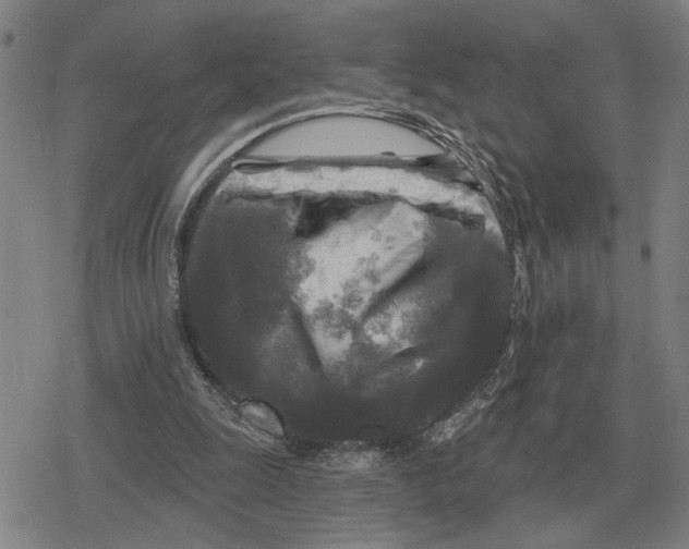 X0000079330247200612151849