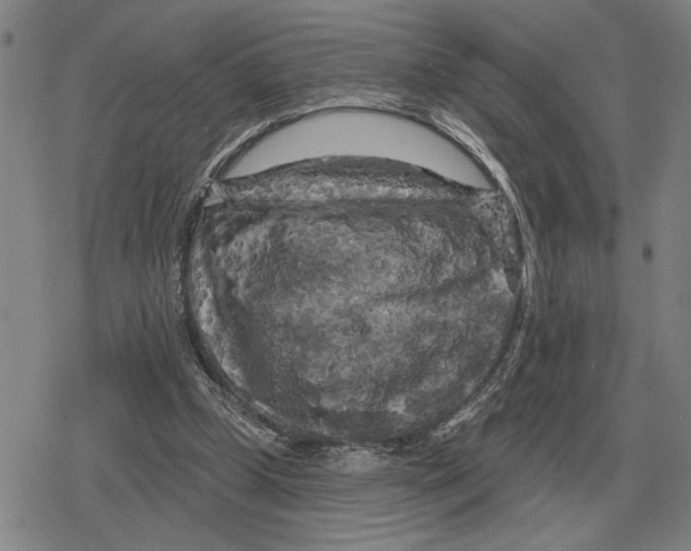 X0000079330249200612151849