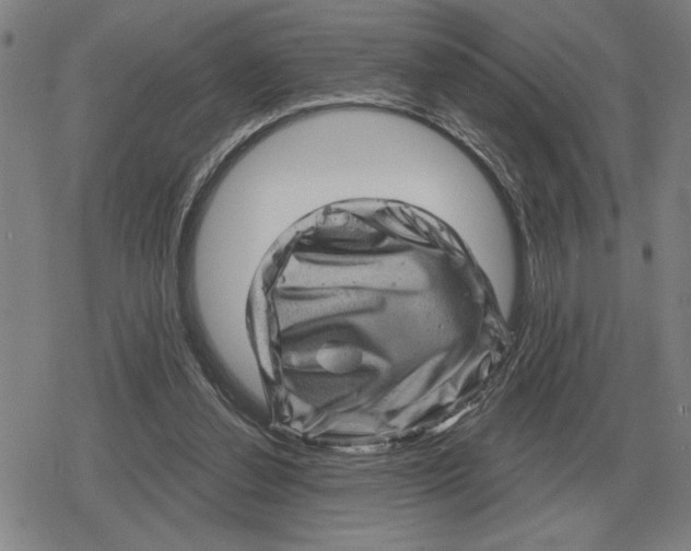 X0000079330252200612151849