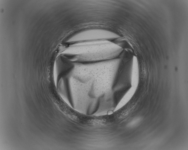 X0000079330255200612151849
