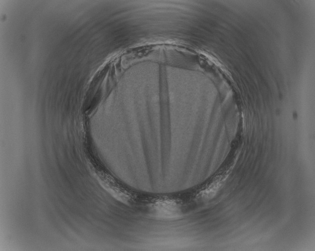 X0000079330256200612151849