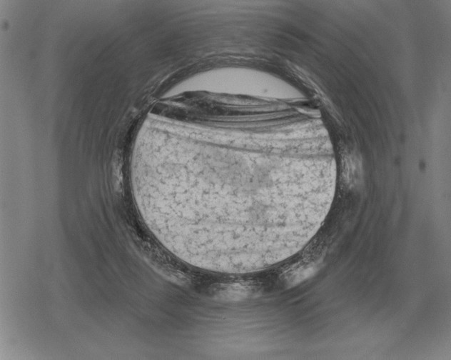 X0000079330259200612151849