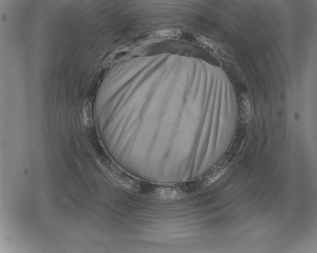 X0000079330272200612151850