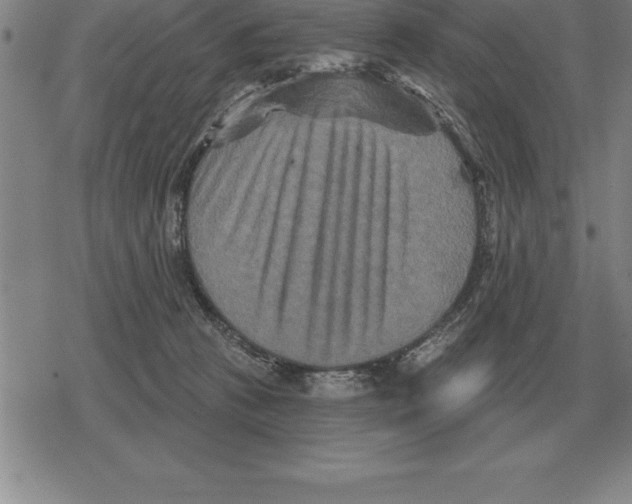 X0000079330273200612151850
