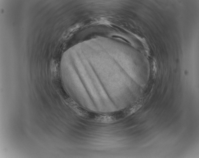 X0000079330276200612151850