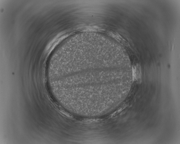 X0000079330291200612151849