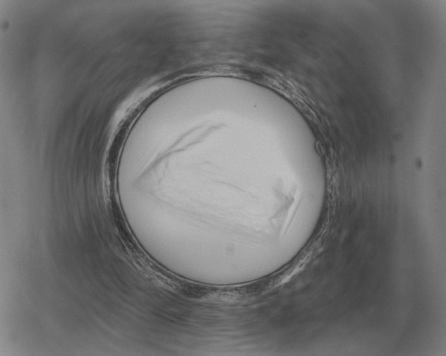X0000079330294200612151849