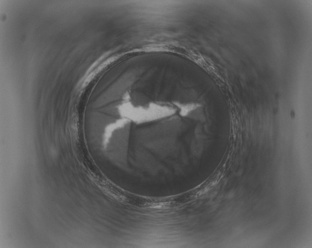 X0000079330295200612151849