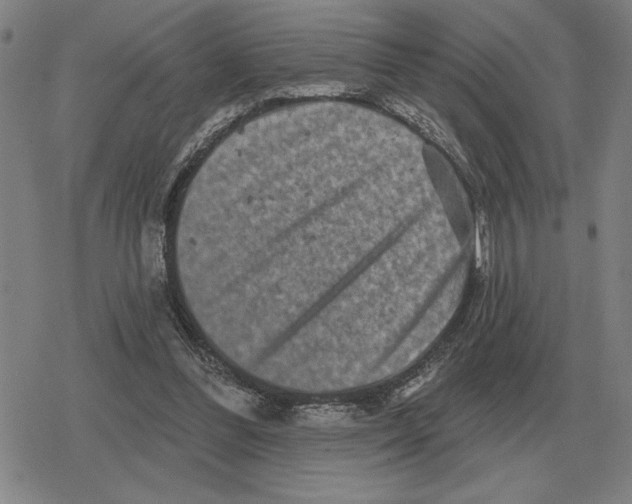 X0000079330300200612151849