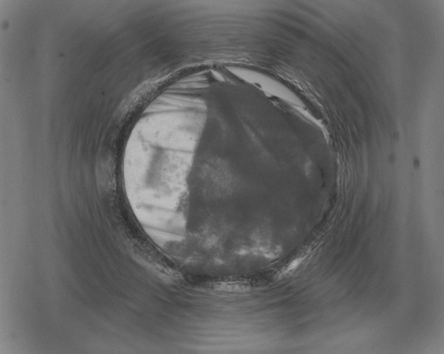 X0000079330303200612151849