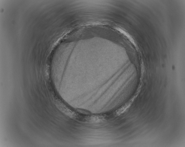 X0000079330305200612151849