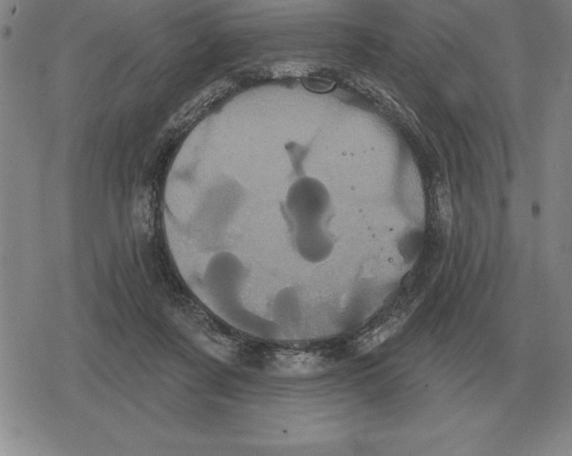 X0000079330311200612151849