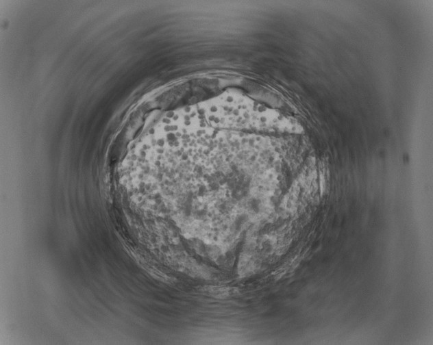 X0000079330339200612151848