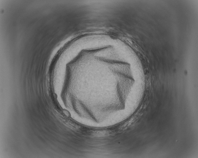 X0000079330342200612151848