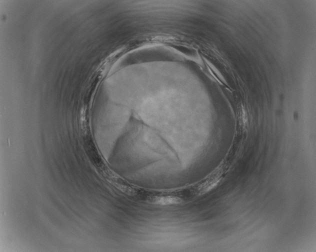 X0000079330360200612151848