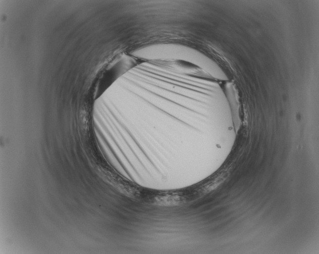 X0000079330362200612151848