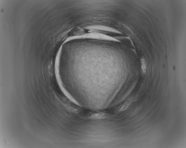 X0000079330364200612151848