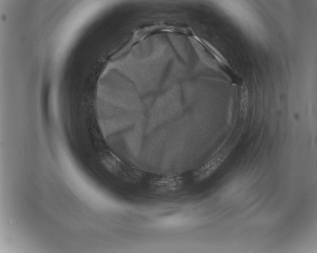 X0000079330383200612151848