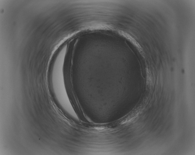 X0000079330391200612151847