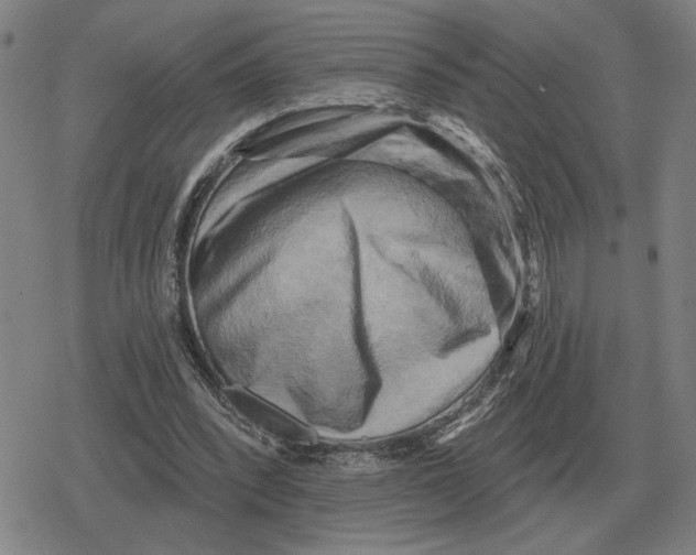 X0000079330392200612151847