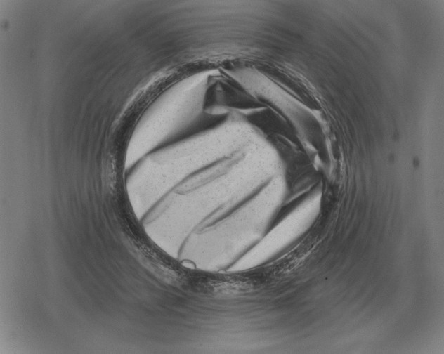 X0000079330400200612151847