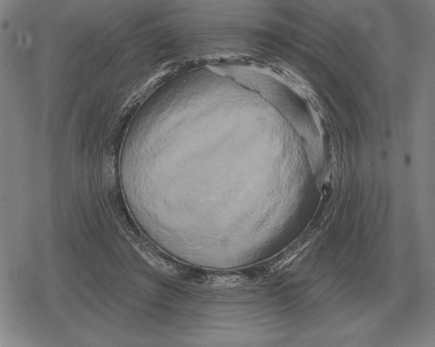 X0000079330401200612151847