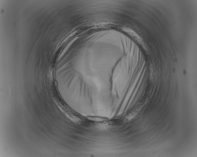 X0000079330405200612151847