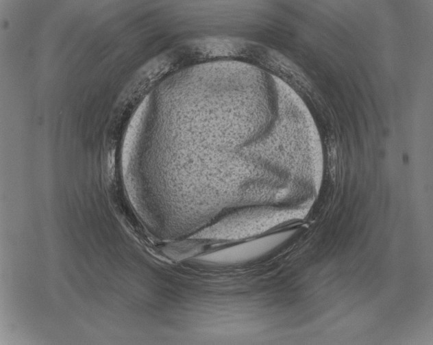 X0000079330406200612151847
