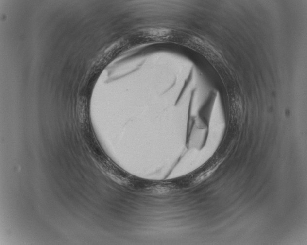 X0000079330412200612151847