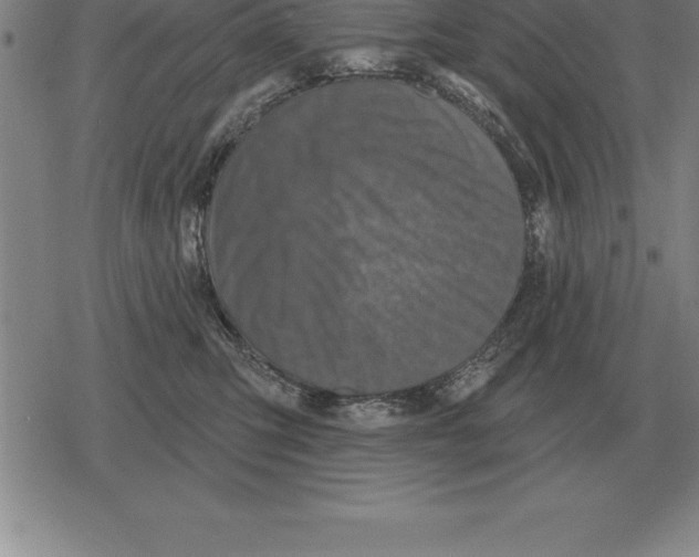 X0000079330423200612151847