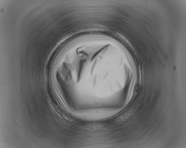 X0000079330435200612151846